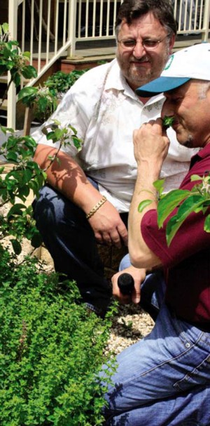 10 top tips for your garden